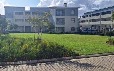 Choosing the Perfect Lawn: A South African Perspective